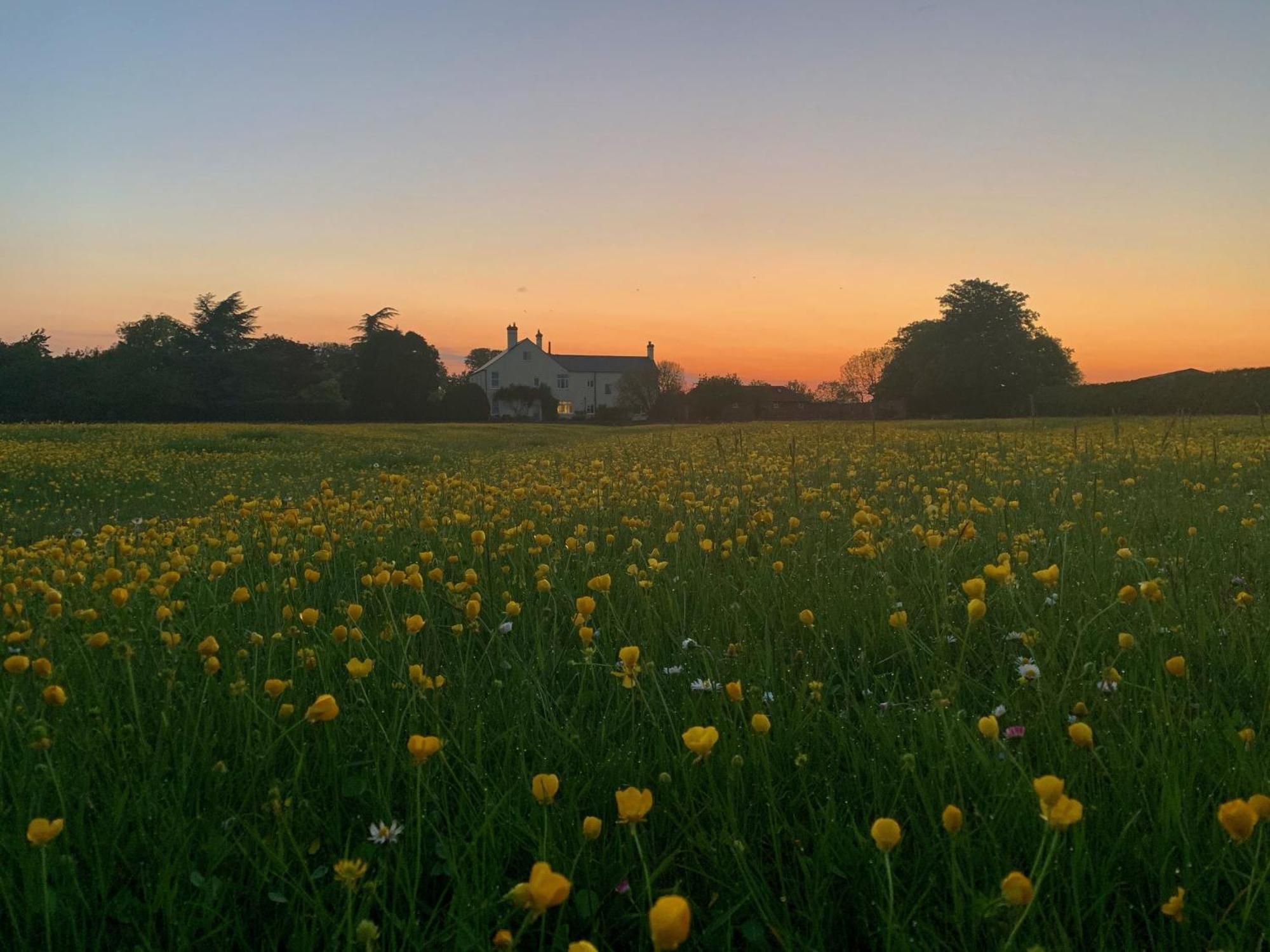 The Chestnuts Country House Boutique B&B Kilvington Εξωτερικό φωτογραφία